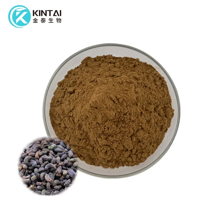 Extrato de Ligustrum Lucidum