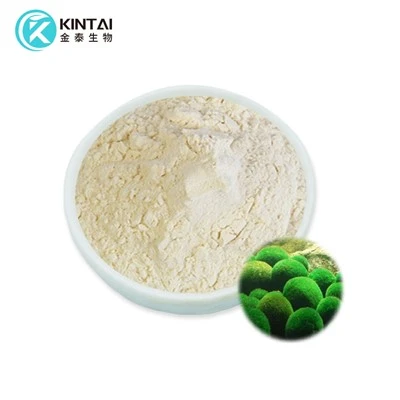 Chlorella fator de crescimento em pó