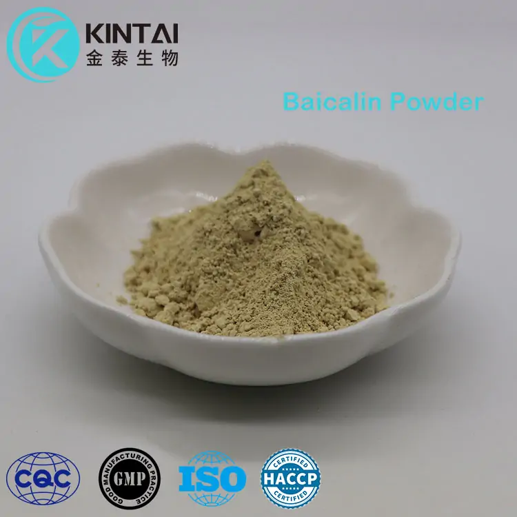 Baicalina em pó